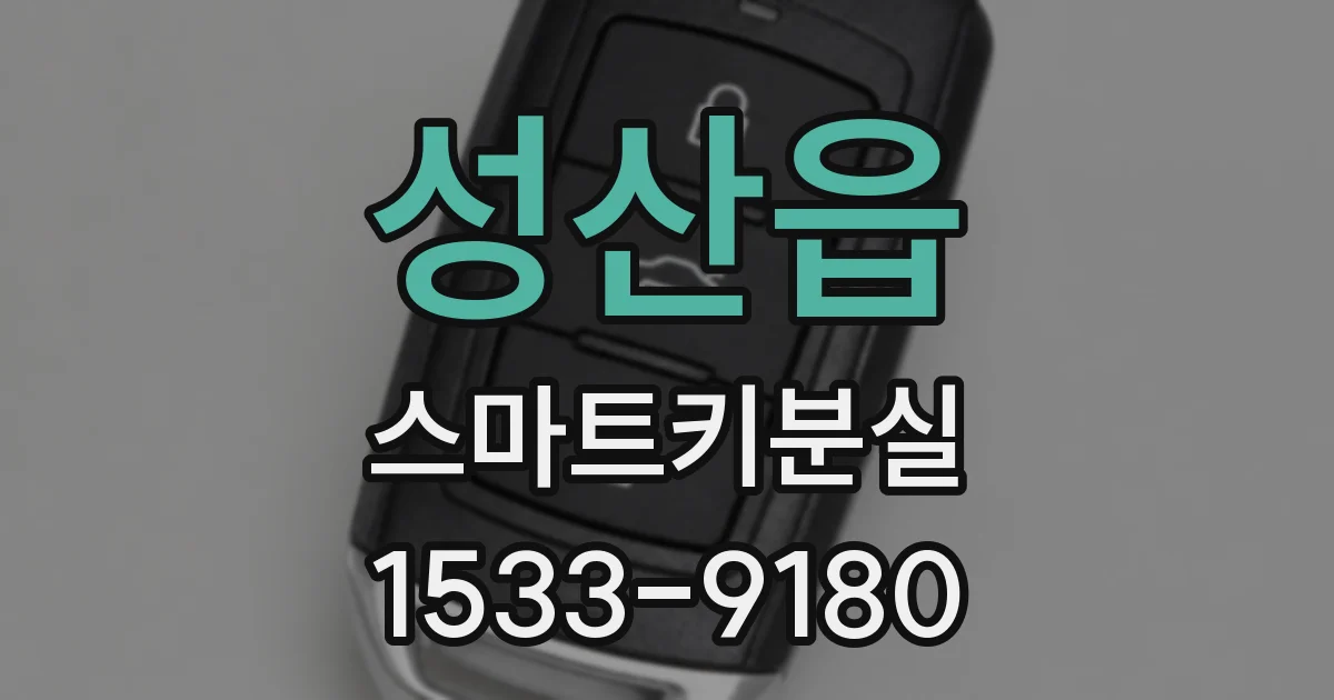 성산읍 스마트키분실
