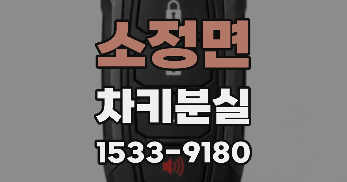 소정면 차키분실