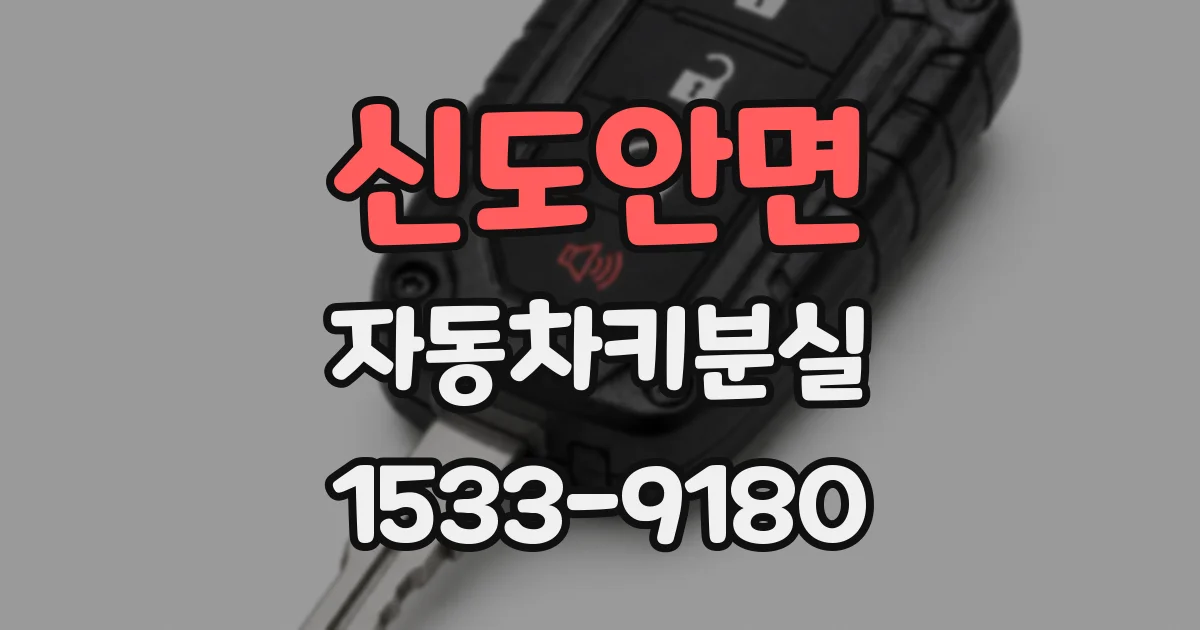 신도안면 자동차키분실
