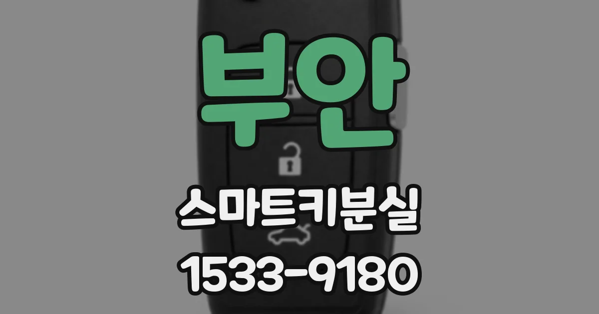 부안 스마트키분실