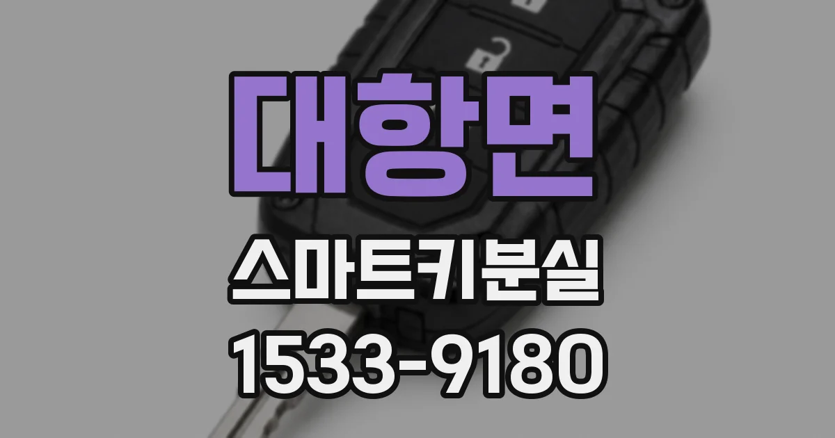 대항면 스마트키분실