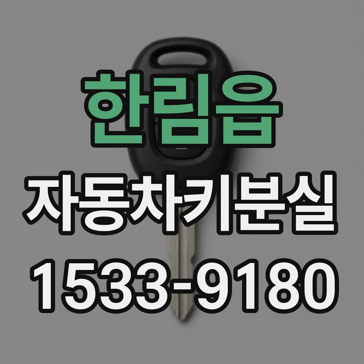 한림읍 자동차키분실