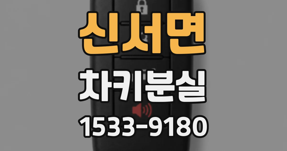 신서면 차키분실