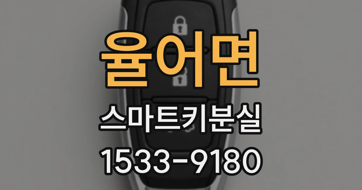율어면 스마트키분실
