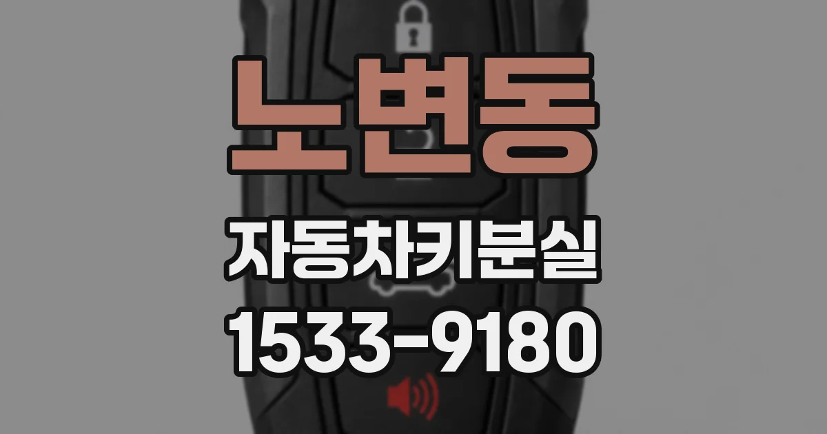 노변동 자동차키분실