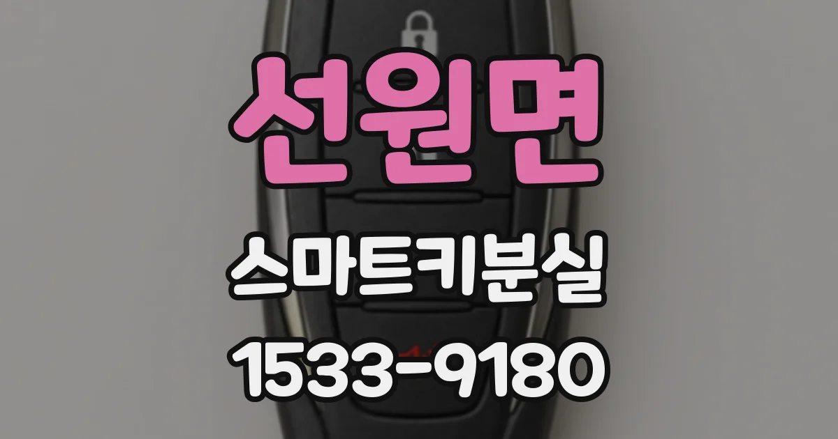 선원면 스마트키분실