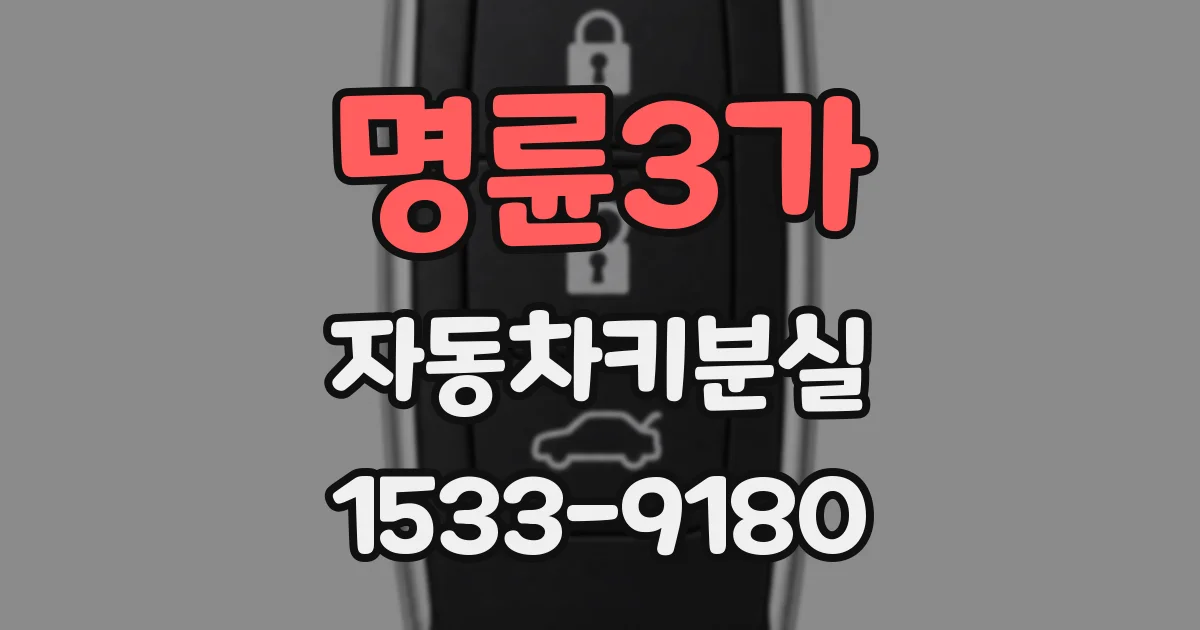 명륜3가 자동차키분실