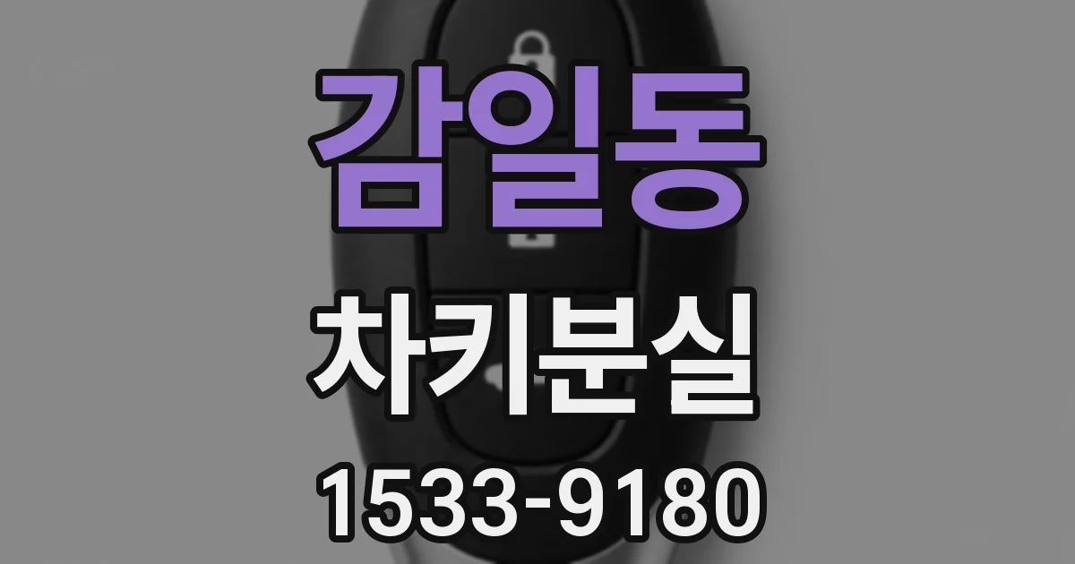 감일동 차키분실