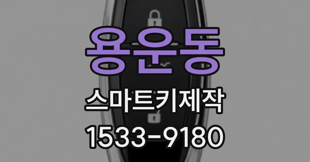 용운동 스마트키제작
