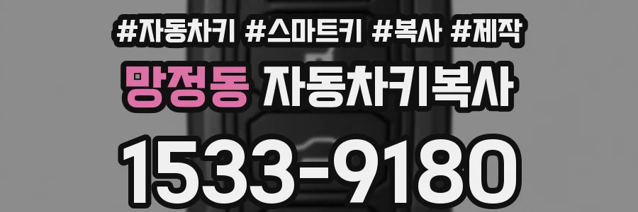 망정동 자동차키복사