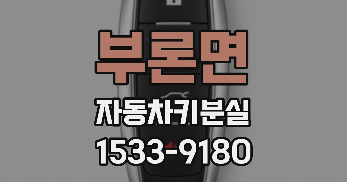 부론면 자동차키분실