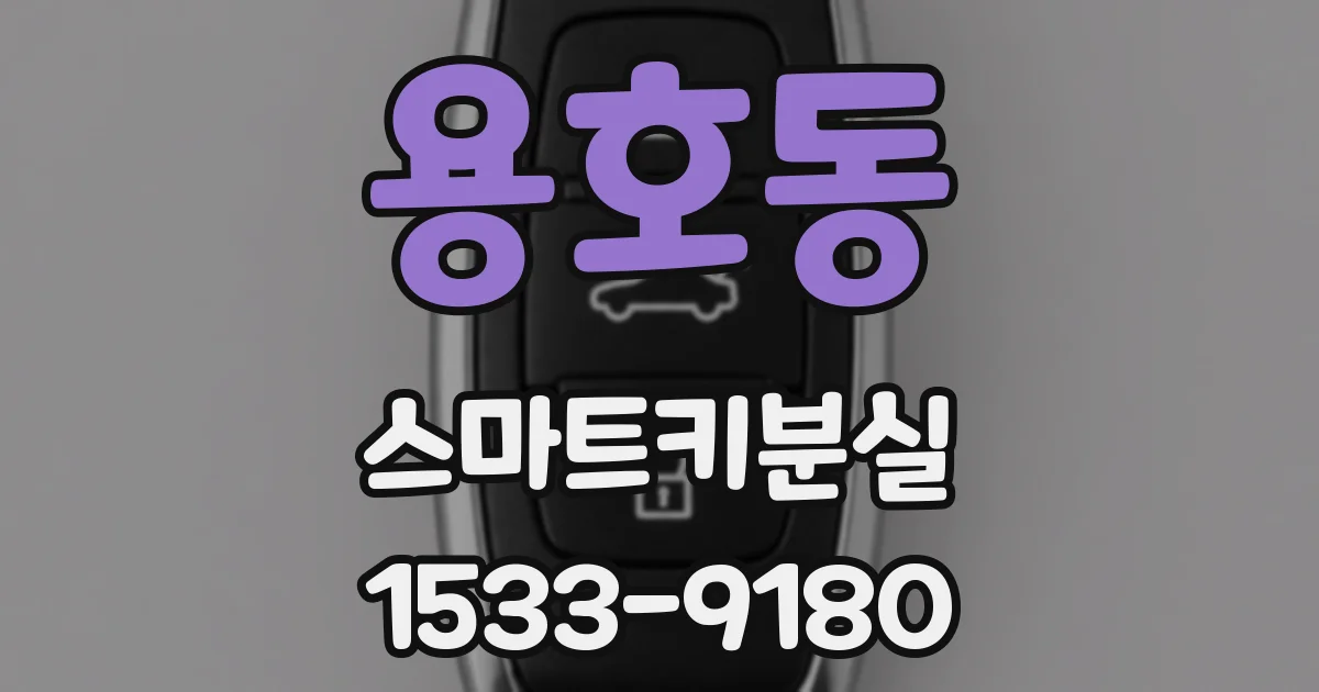 용호동 스마트키분실