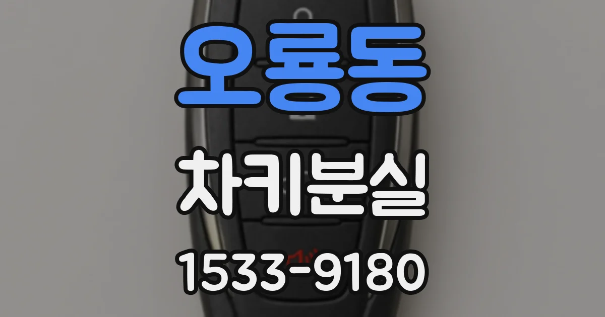 오룡동 차키분실