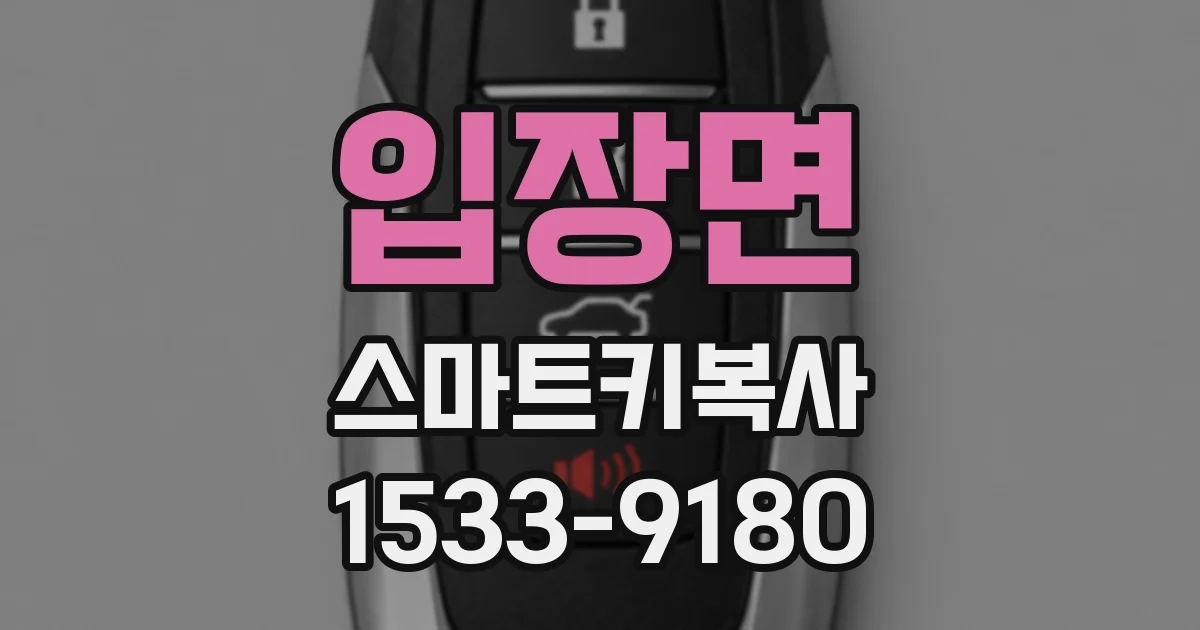 입장면 스마트키복사