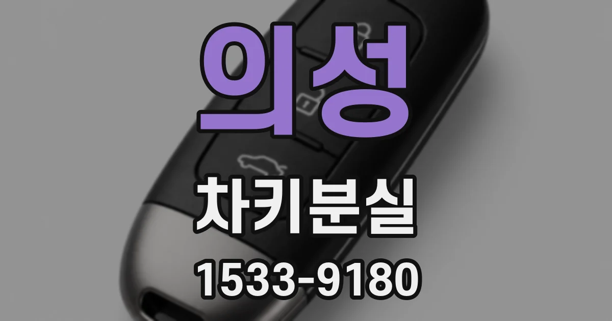 의성 차키분실