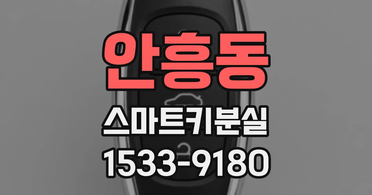 안흥동 스마트키분실