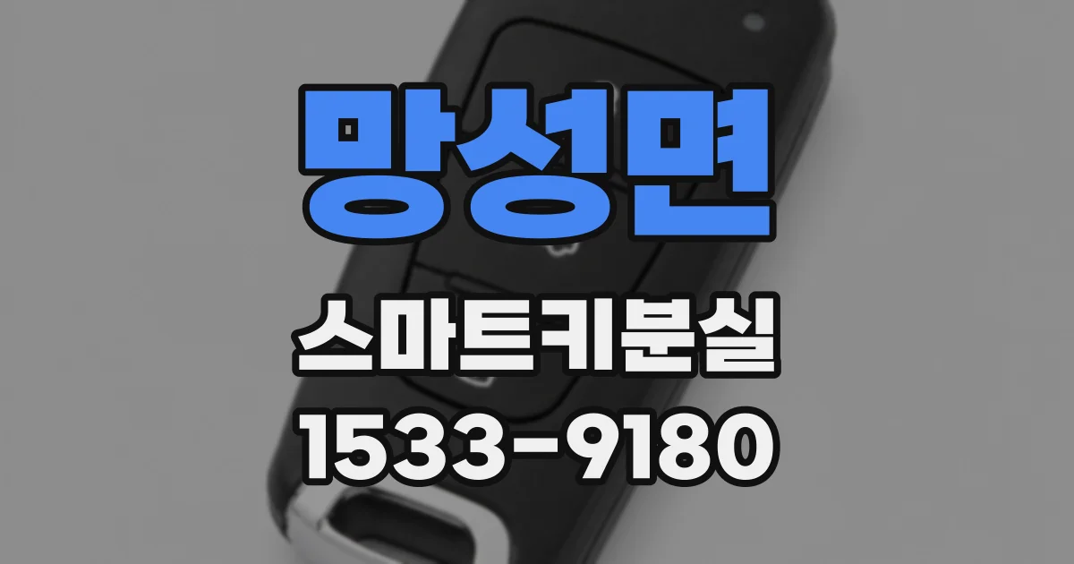 망성면 스마트키분실