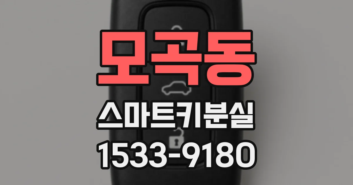모곡동 스마트키분실