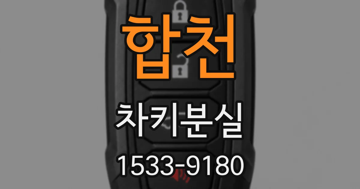 합천 차키분실