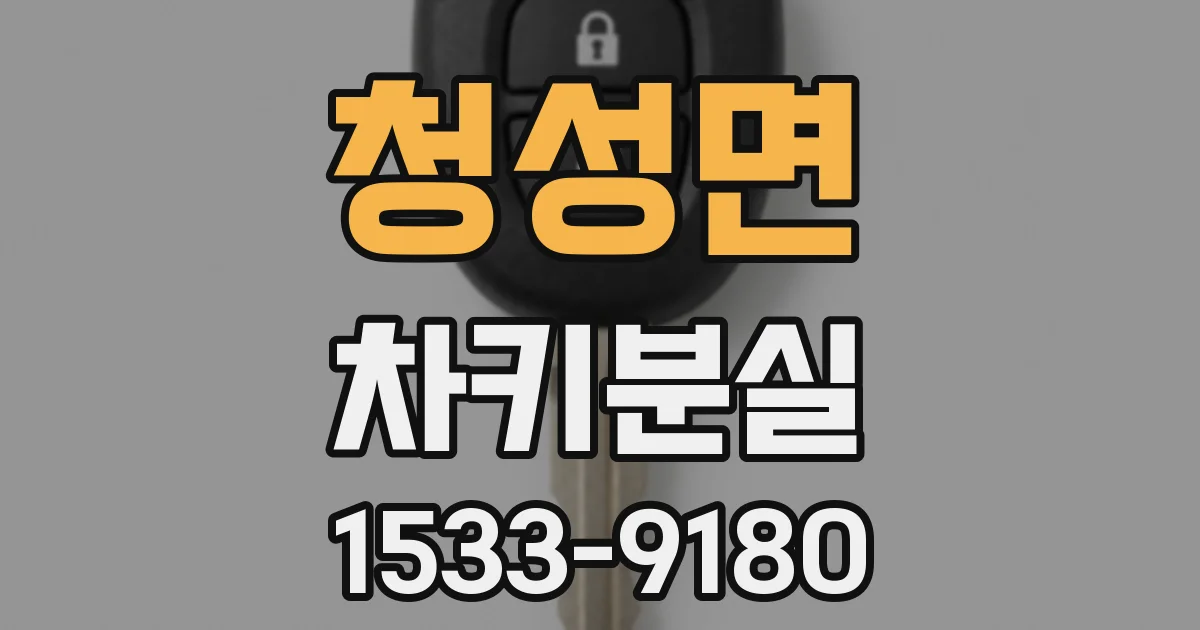 청성면 차키분실
