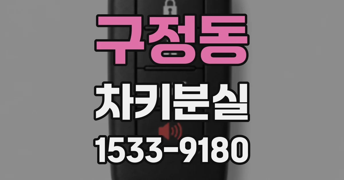 구정동 차키분실