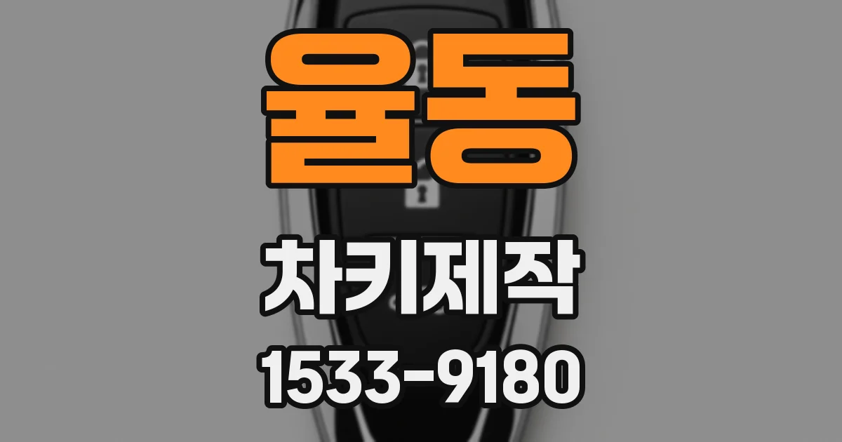 율동 차키제작
