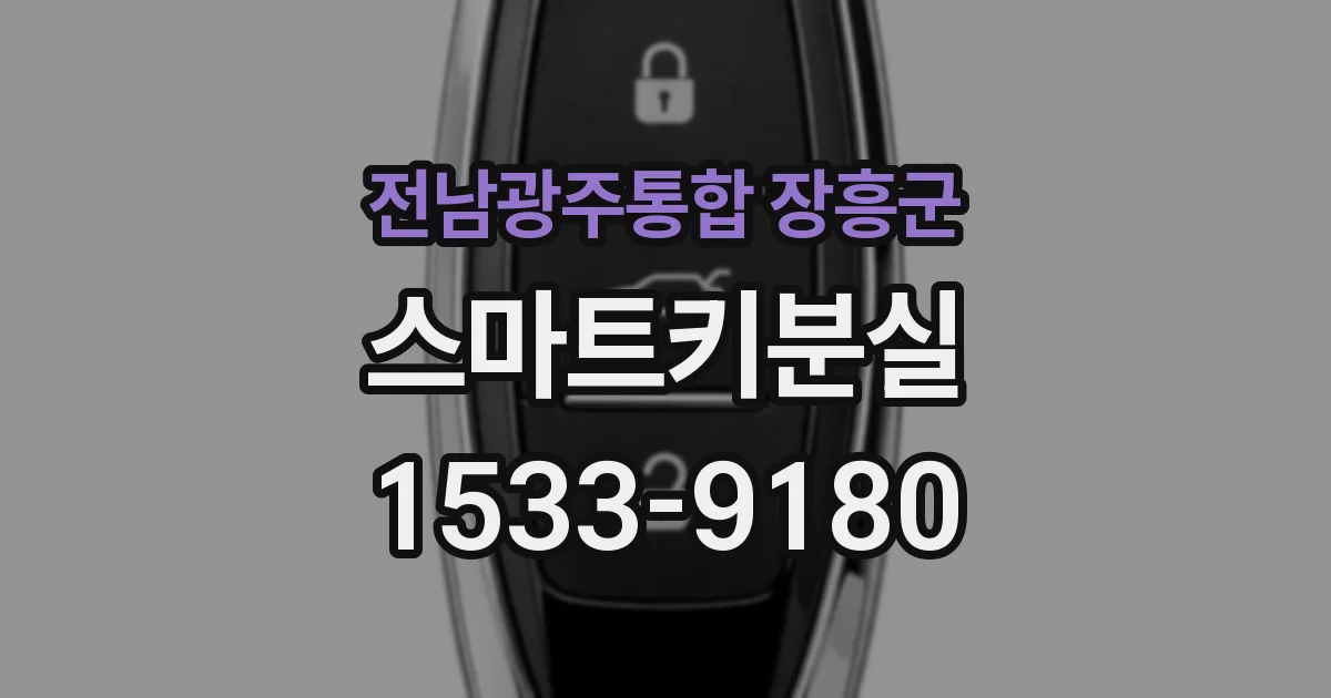 전남광주통합 장흥군 스마트키분실