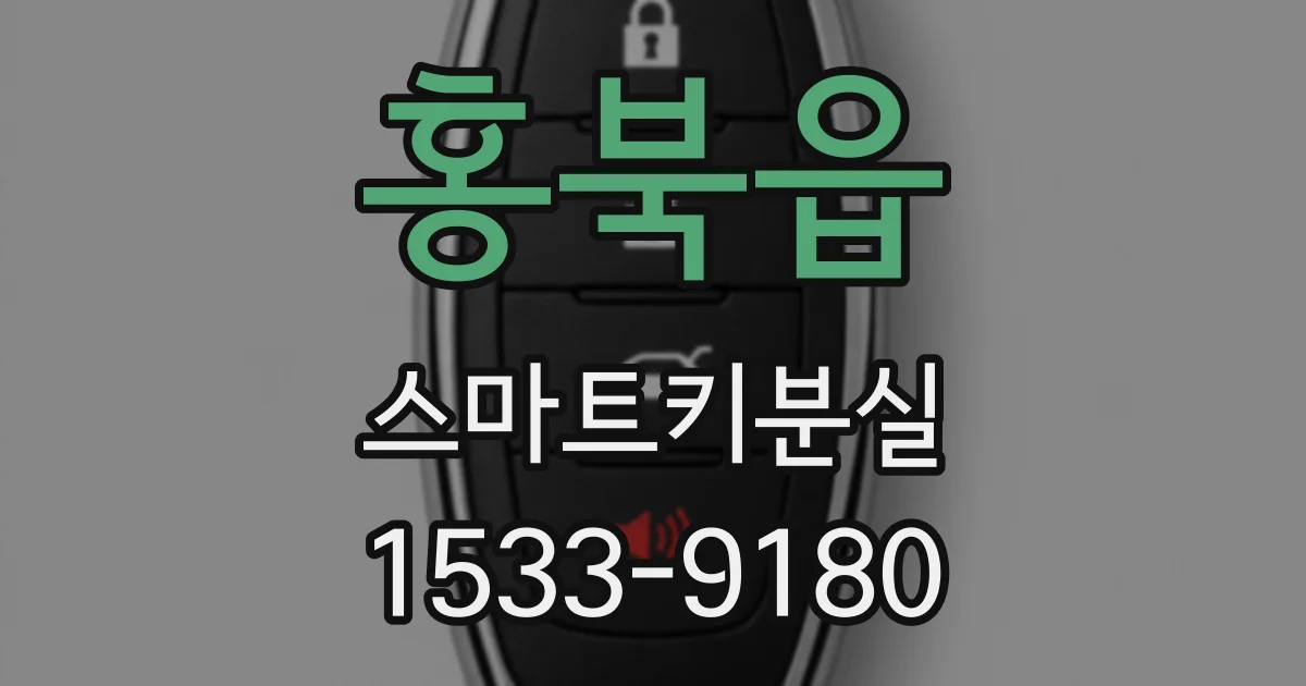 홍북읍 스마트키분실