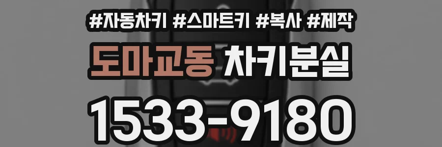도마교동 차키분실