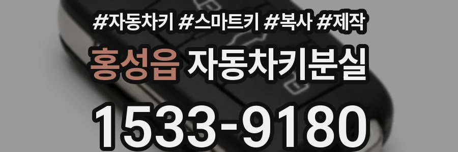 홍성읍 자동차키분실
