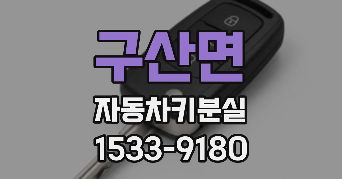 구산면 자동차키분실