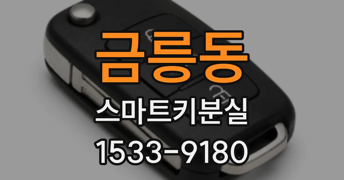 금릉동 스마트키분실