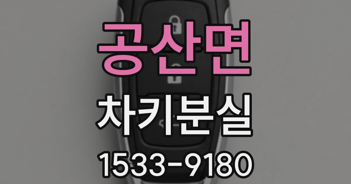 공산면 차키분실