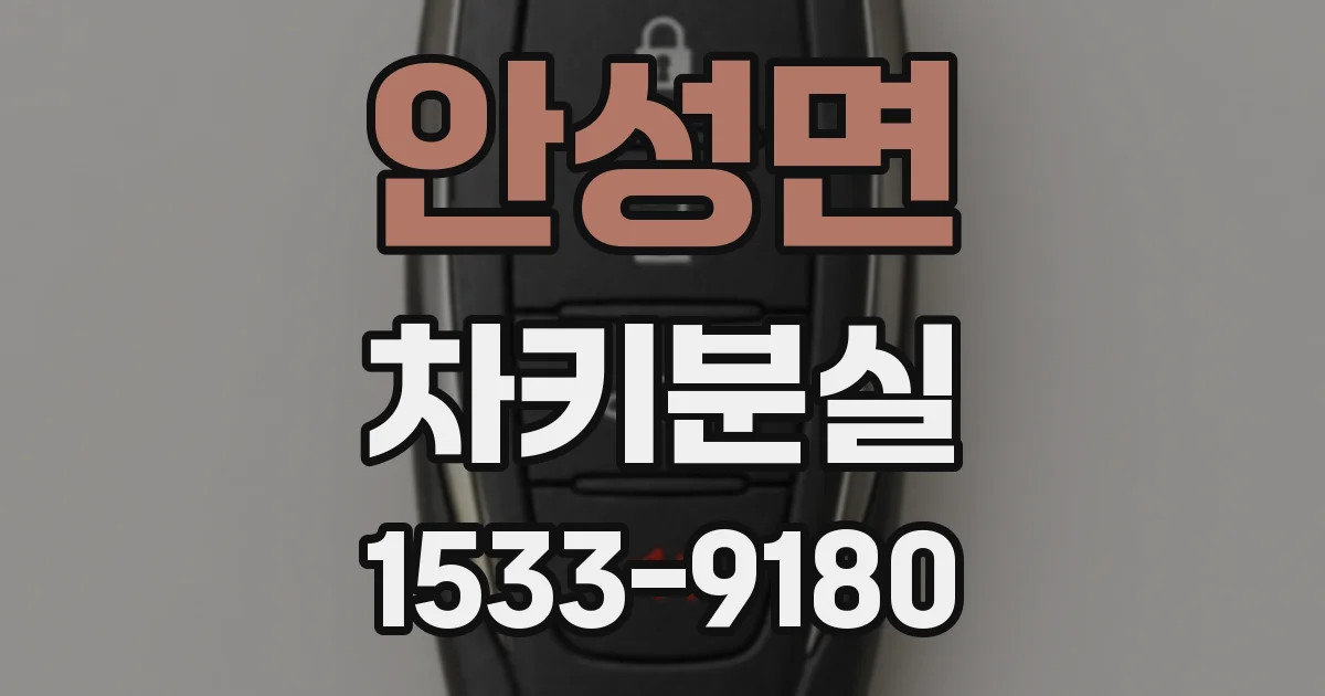 안성면 차키분실
