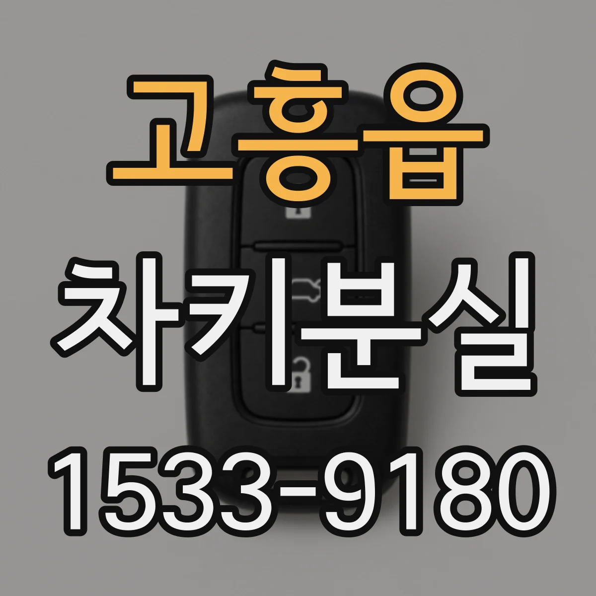 고흥읍 차키분실