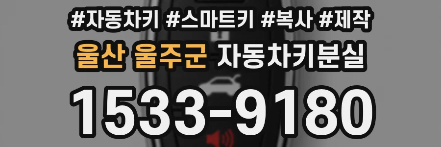 울산 울주군 자동차키분실