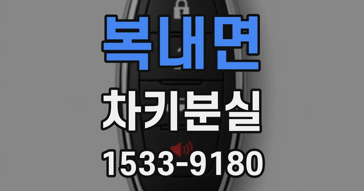복내면 차키분실