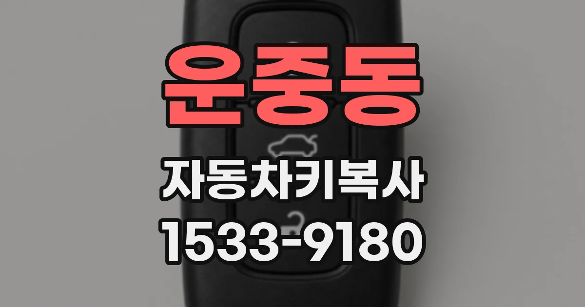운중동 자동차키복사