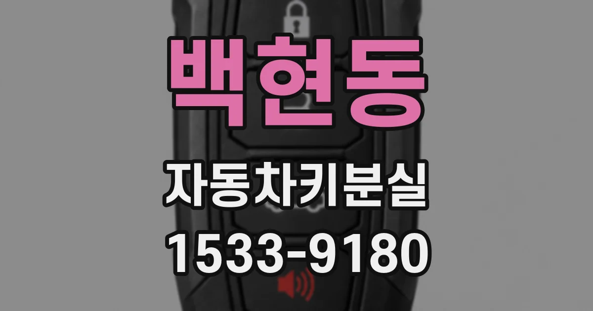 백현동 자동차키분실