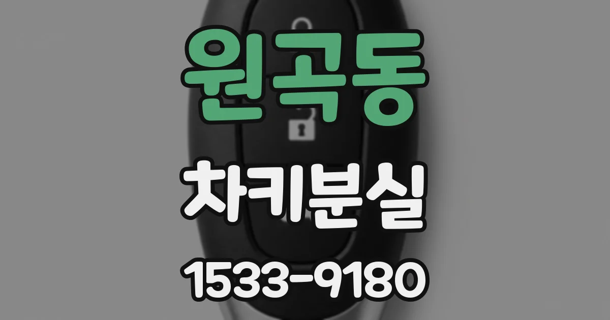 원곡동 차키분실