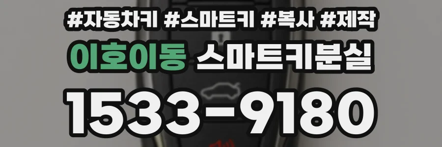 이호이동 스마트키분실