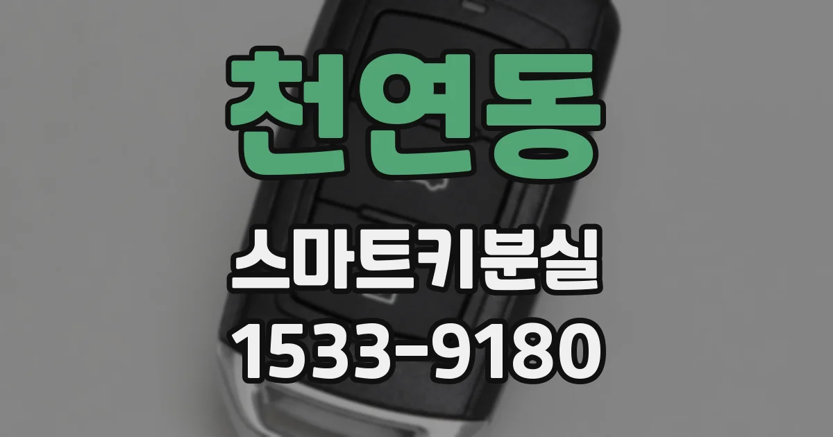 천연동 스마트키분실
