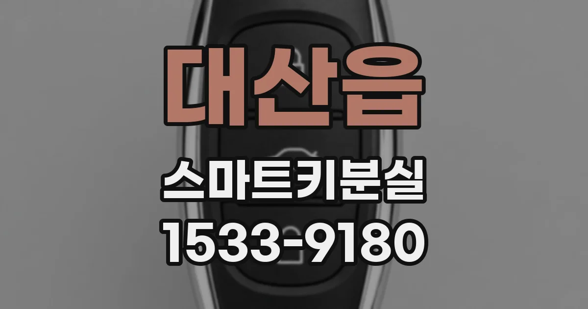 대산읍 스마트키분실
