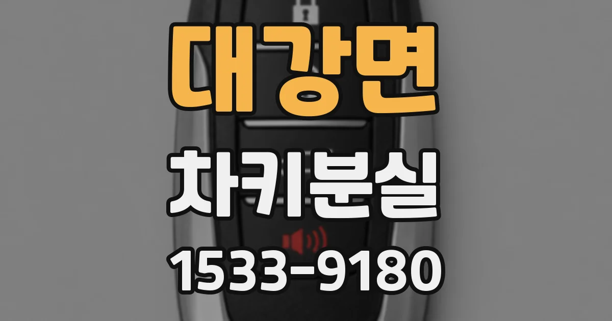 대강면 차키분실