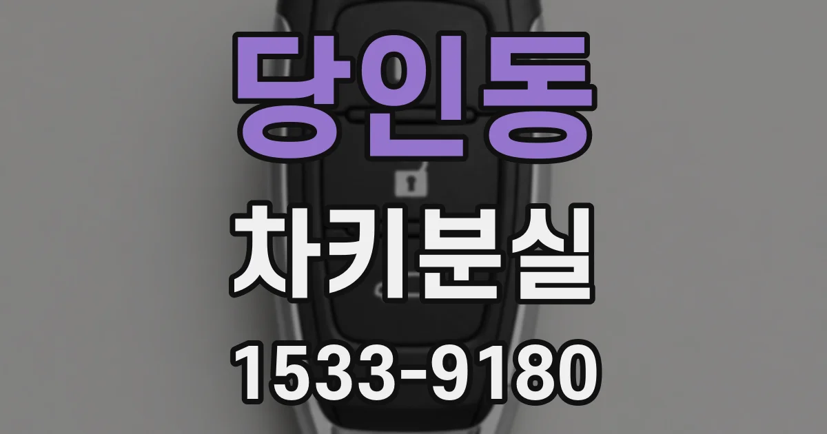 당인동 차키분실