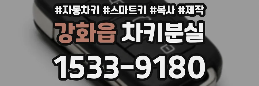 강화읍 차키분실