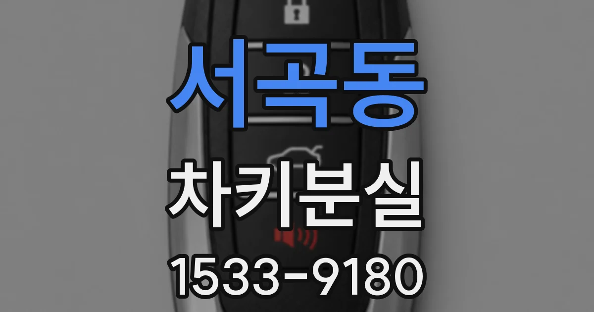 서곡동 차키분실