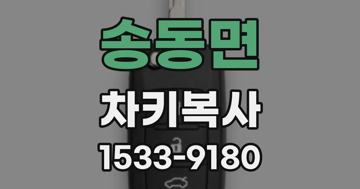송동면 차키복사