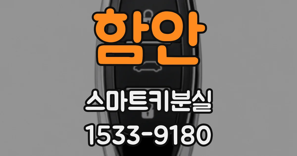 함안 스마트키분실