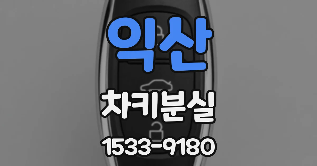 익산 차키분실